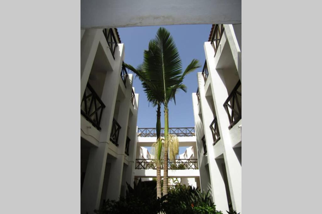 2 Bedrooms Playa Las Americas Parque Santiago I Heated Pool プラヤ・デ・ラス・アメリカス エクステリア 写真